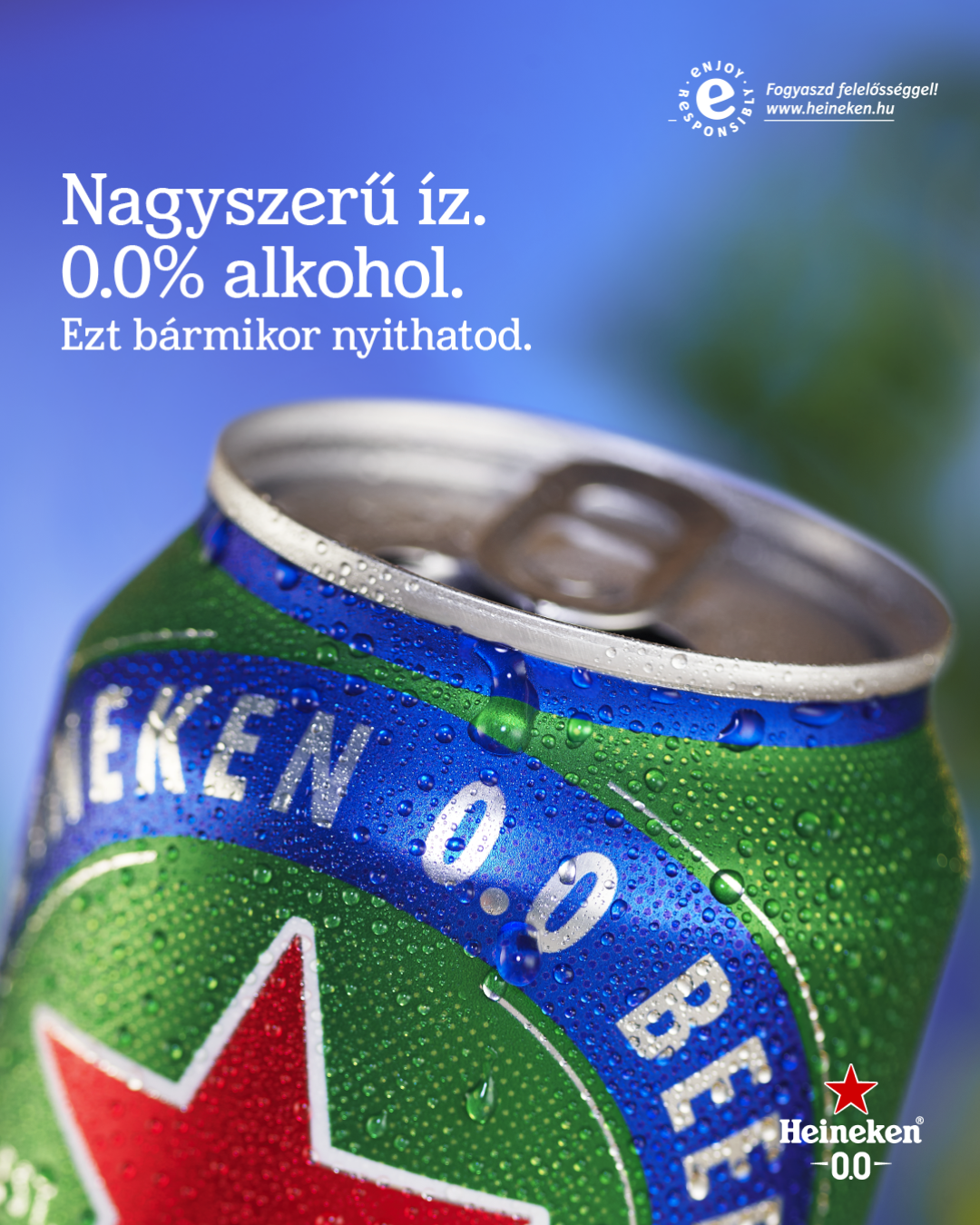 HU 0.0 Reasons Needed ND Can KV 4X5 0SECONDS 00B33 Hungary