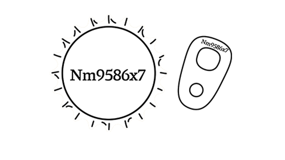 Code New
