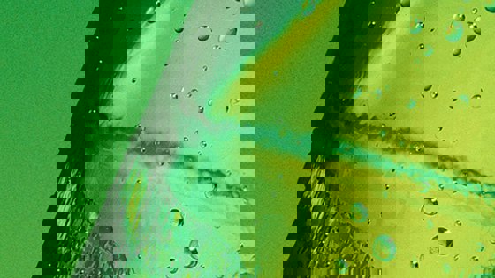 Experience More B4ay